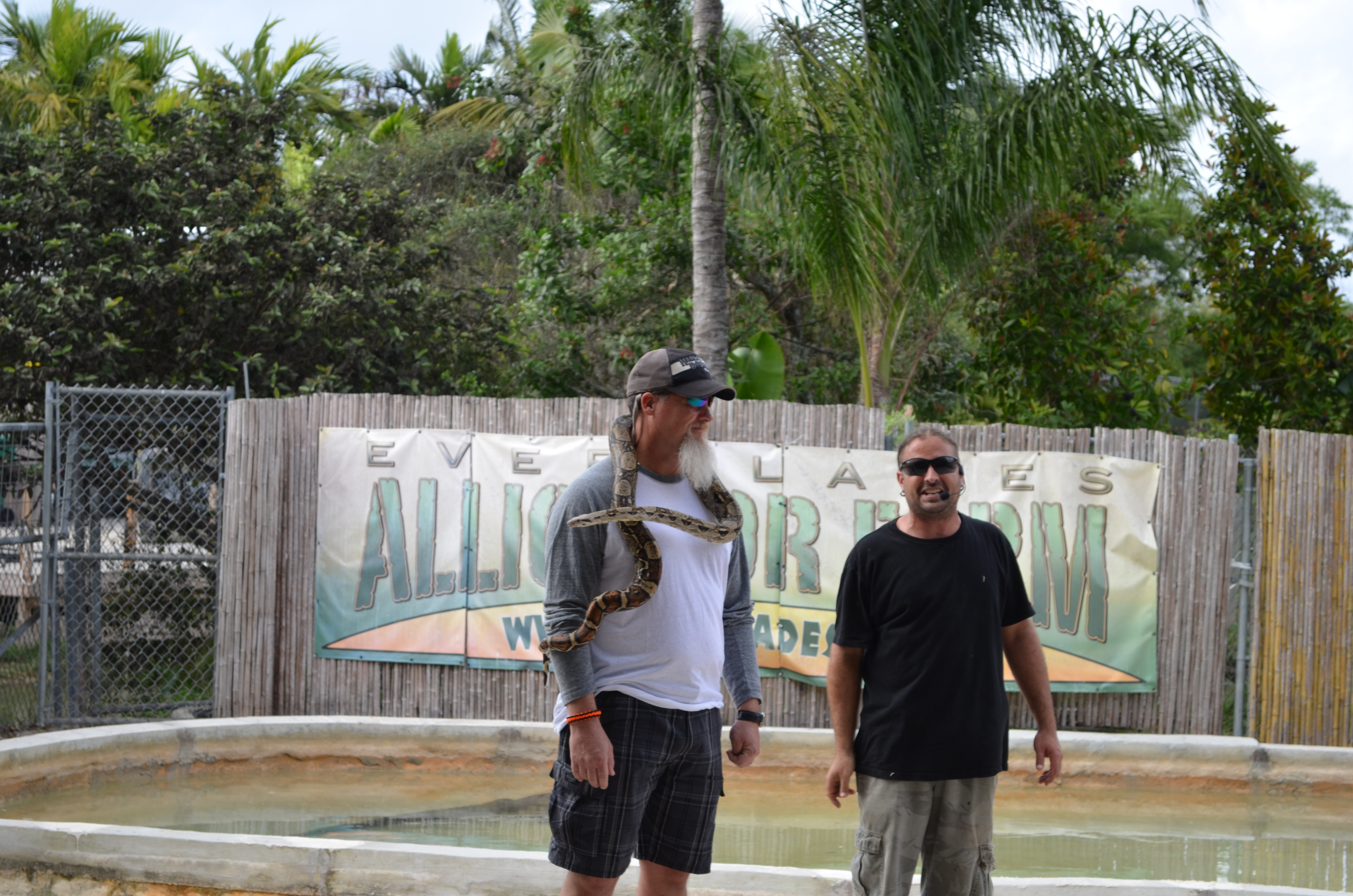 ./2012/Christmas/Aligator Farm/DSC_1046.JPG